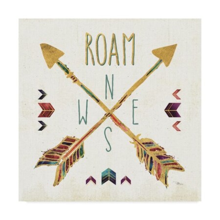 Trademark Fine Art Pela Studio 'Beautiful Arrows Vi' Canvas Art, 18x18 WAP07508-C1818GG